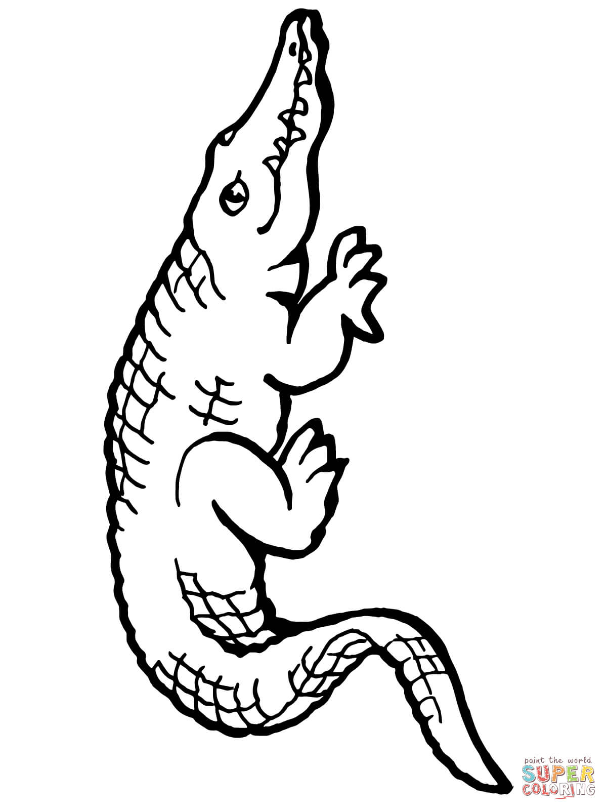 Helpful American Alligator Coloring Page Free 1200x1600 Helpful American Alligator Coloring Page Free