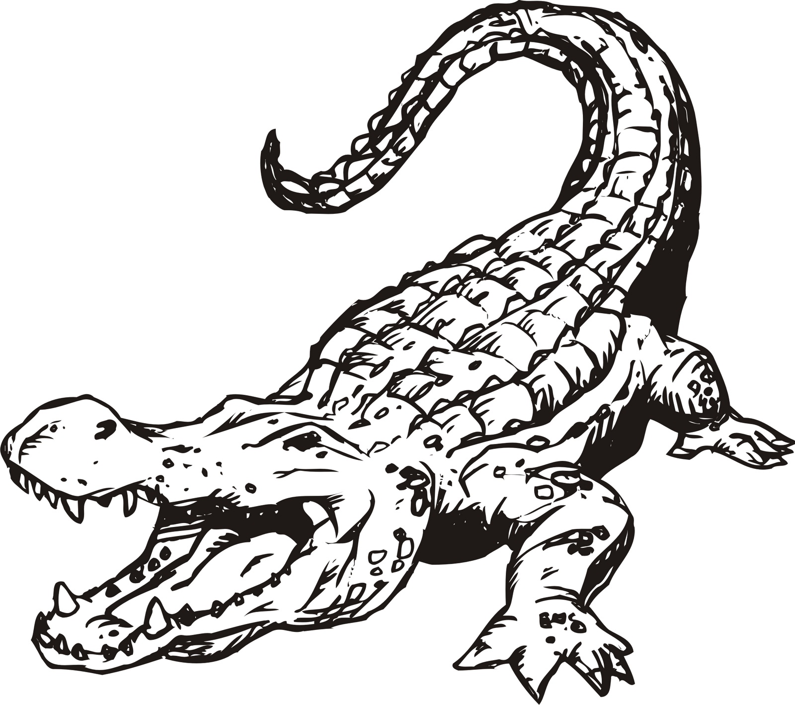 Top 76 Crocodile Coloring Pages 1600x1418 Top 76 Crocodile Coloring Pages