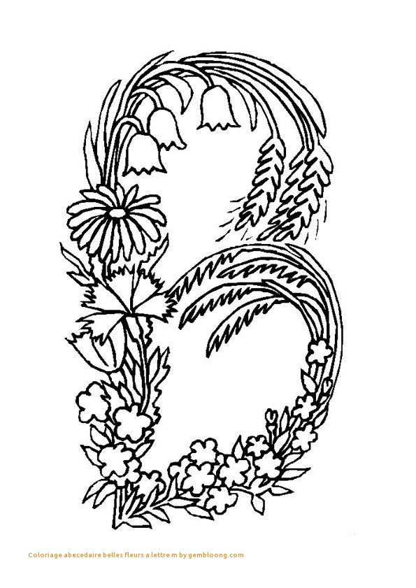 Animal Coloring Pages Crocodile Coloring Pages Best Of Caiman 595x841 Animal Coloring Pages Crocodile Coloring Pages Best Of Caiman