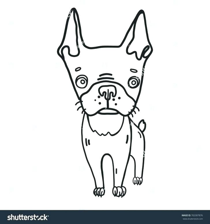 728x777 Coloring Pages Puppy Coloring Page Bell Cairn Terrier Coloring