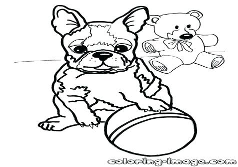 476x333 Boston Terrier Coloring Page