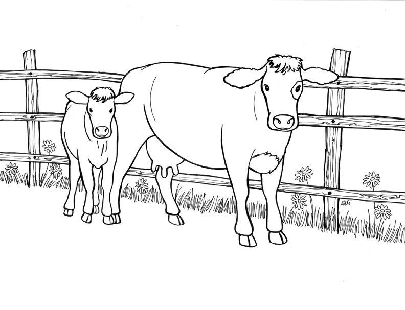 Cow And Calf Coloring Pages 792x607 Cow And Calf Coloring Pages