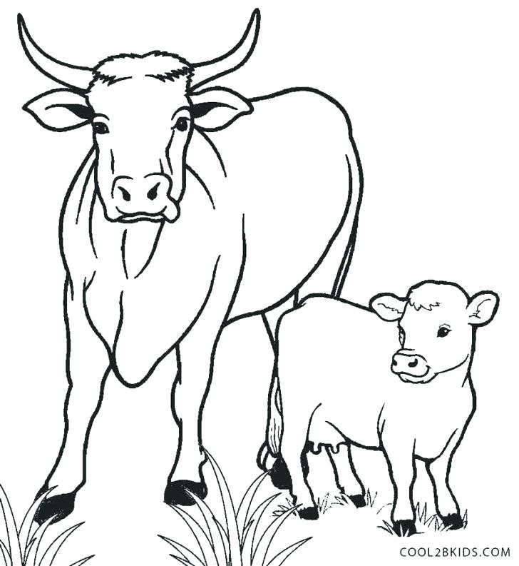 Golden Calf Coloring Page Calf Coloring Pages Printable Cow 728x793 Golden Calf Coloring Page Calf Coloring Pages Printable Cow