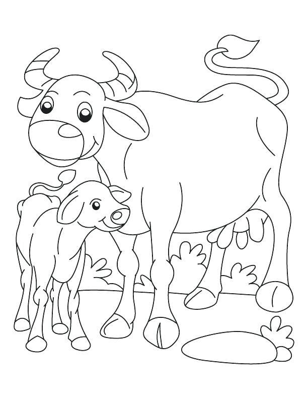 Calf Coloring Page at GetColorings.com | Free printable colorings pages ...