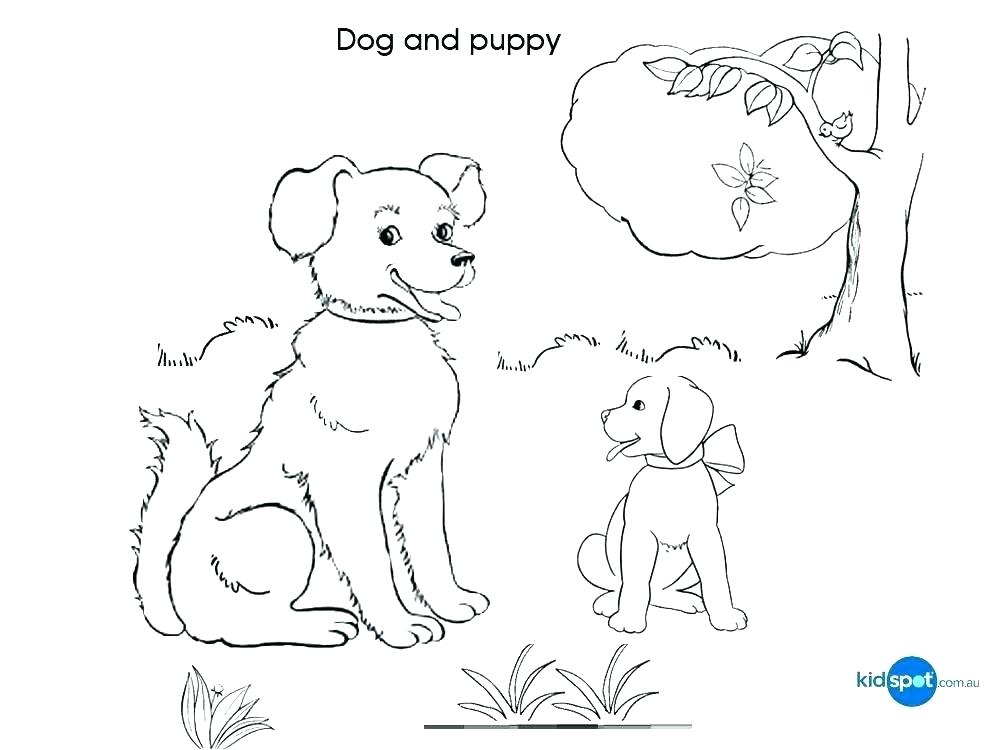 Calf Coloring Page at GetColorings.com | Free printable colorings pages ...