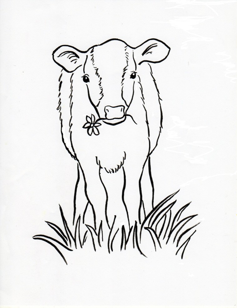Calf Coloring Page 760x985 Calf Coloring Page