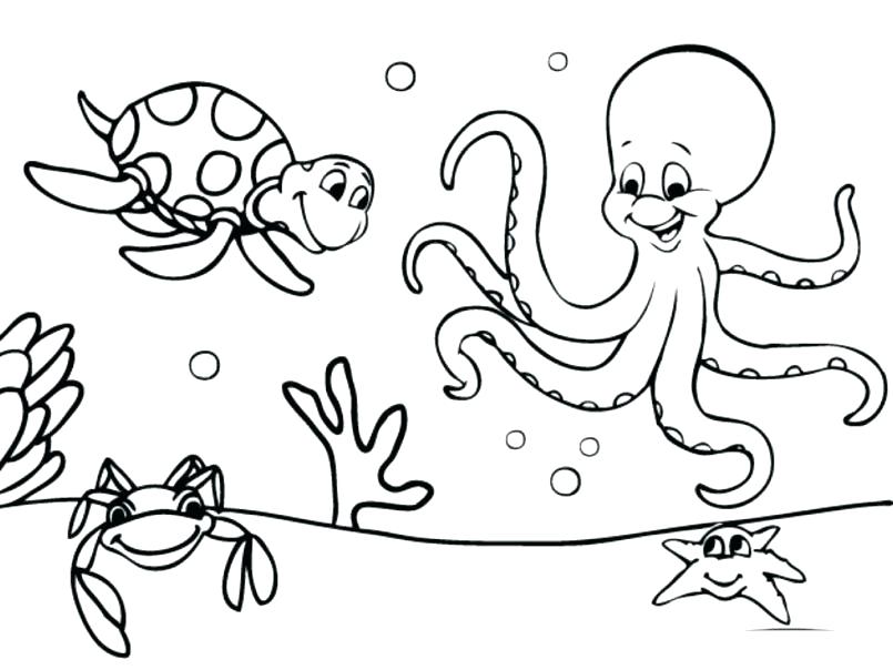 Calico Critters Coloring Pages Printable Drawings For Coloring 805x604 Calico Critters Coloring Pages Printable Drawings For Coloring