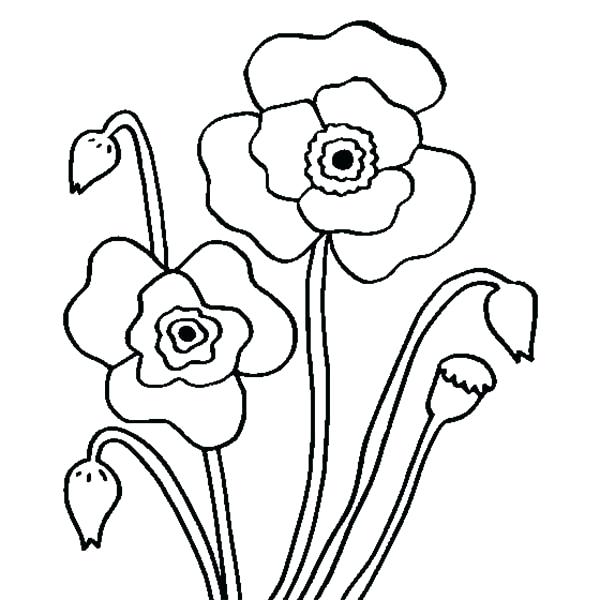 600x600 Poppy Coloring Page Coloring Page Poppy Nature Printable Coloring