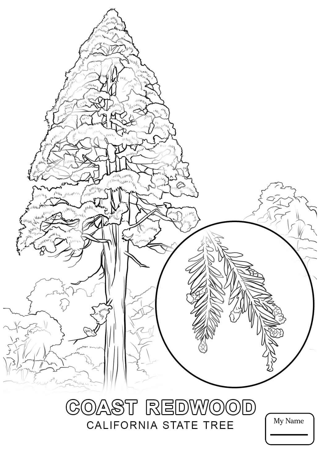 Free Coloring California Coloring Pages