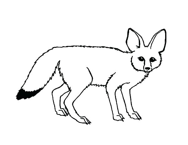 California Flag Coloring Page 600x464 California Flag Coloring Page