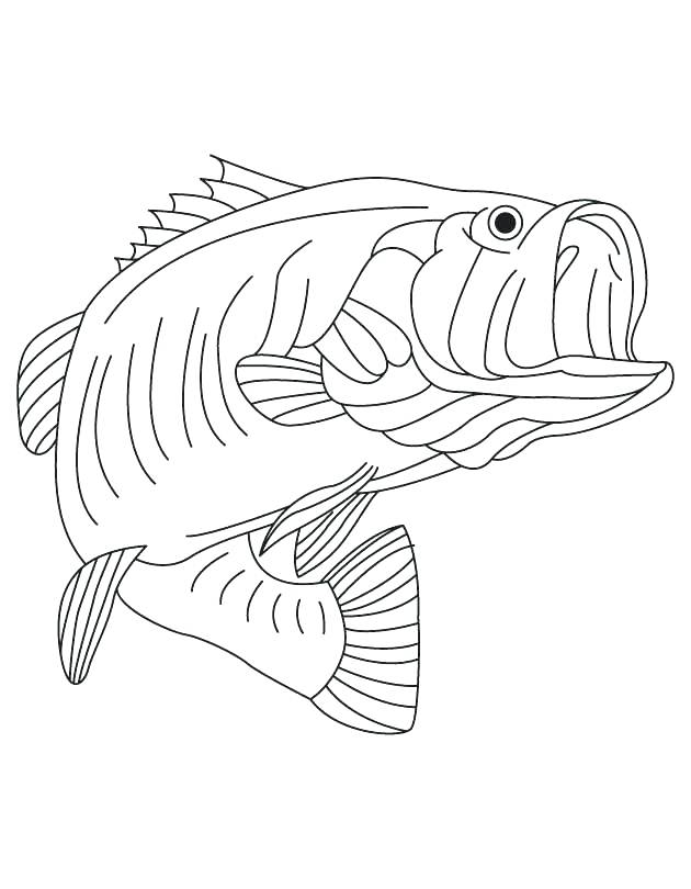 California Republic Flag Coloring Page Bass State Freshwater Fish 630x810 California Republic Flag Coloring Page Bass State Freshwater Fish
