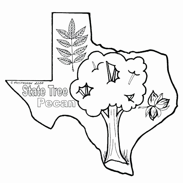 Coloring Pages Of Texas Flag Gallery California State Symbols 600x600 Coloring Pages Of Texas Flag Gallery California State Symbols