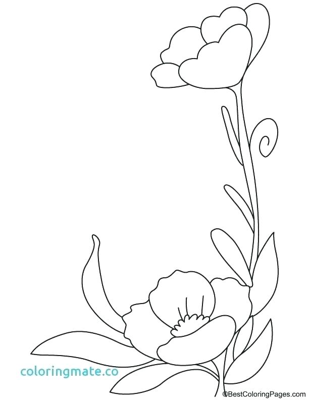 Flowers Coloring Pages With Poppy Flowers Coloring Pages 612x792 Flowers Coloring Pages With Poppy Flowers Coloring Pages