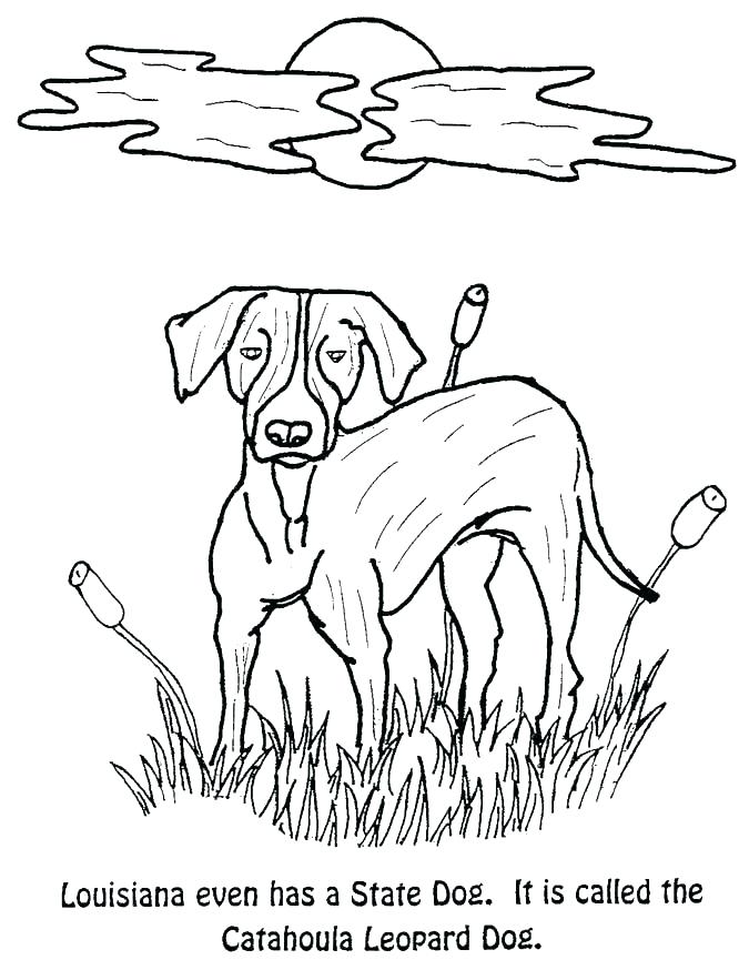 Southern Kit Fox Coloring Pages Download Print Online Southern Kit 675x874 Southern Kit Fox Coloring Pages Download Print Online Southern Kit