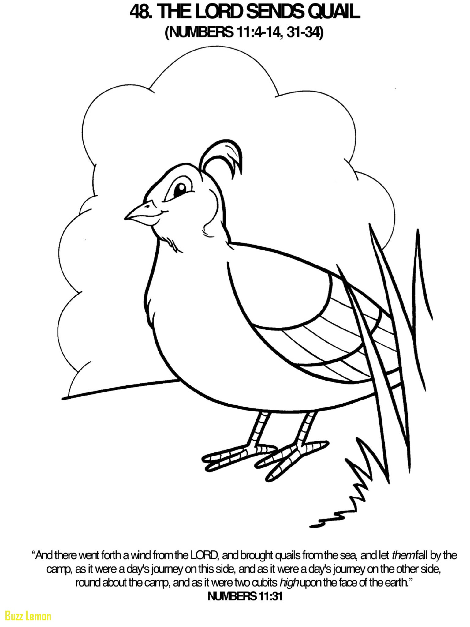 Coloring Page Quail Unique Lord Sends A Quail Coloring Page Bible 1536x2048 Coloring Page Quail Unique Lord Sends A Quail Coloring Page Bible