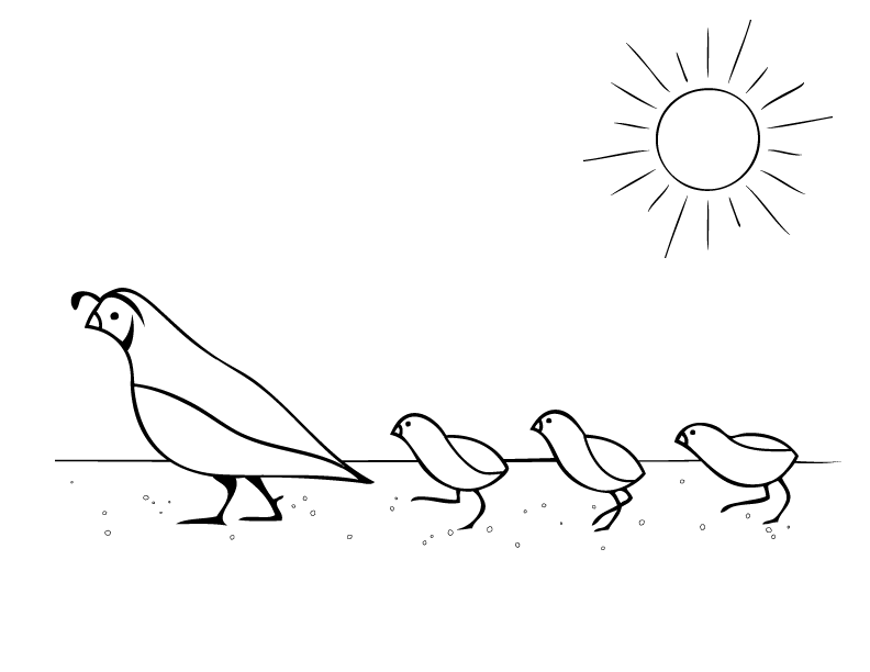 Coloring Pages Quails, Mosaics And Embroidery 792x612 Coloring Pages Quails, Mosaics And Embroidery