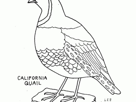 39 Manna Coloring Page, Manna From Heaven Coloring Online Super 440x330 39 Manna Coloring Page, Manna From Heaven Coloring Online Super