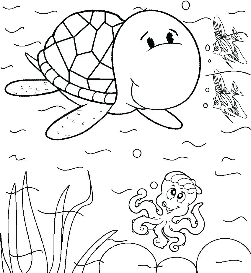 Quail Coloring Page Quail Coloring Page Quail Animal Coloring 850x921 Quail Coloring Page Quail Coloring Page Quail Animal Coloring