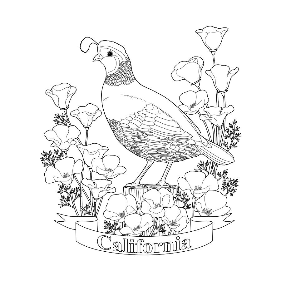 California State Coloring Pages