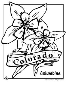 236x305 5 Superb Flower Coloring Page