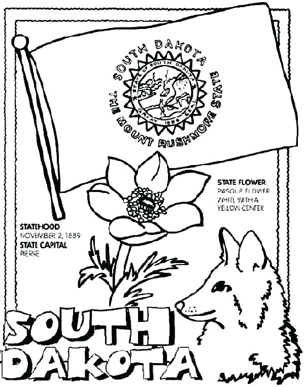 601x762 Ca State Symbols Coloring Pages Flower Page Free To Print