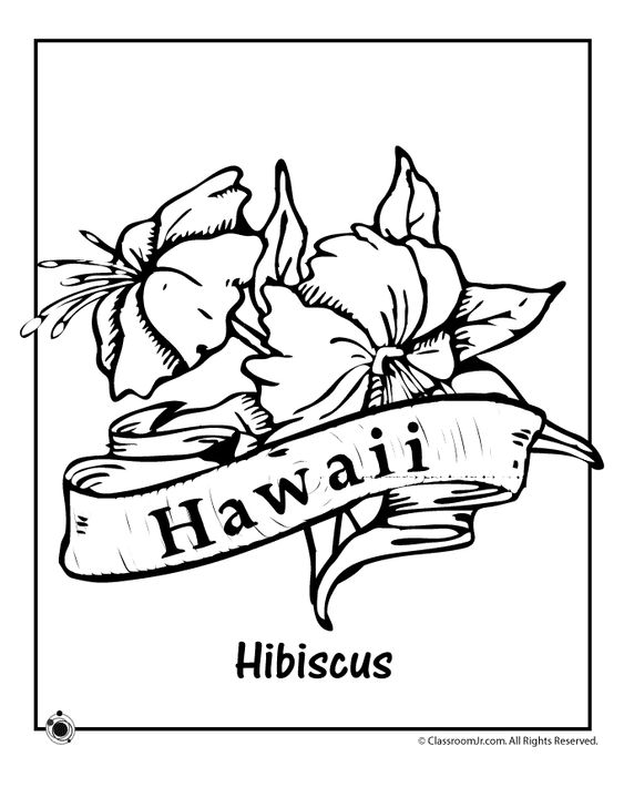 California State Symbols Coloring Pages 563x729 California State Symbols Coloring Pages