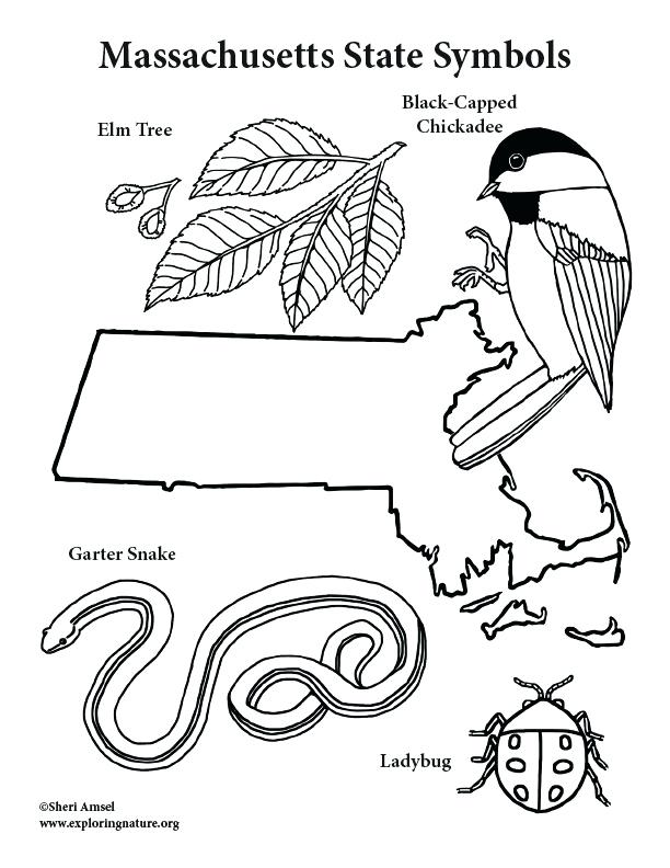 Louisiana State Symbols Coloring Pages Page Ma Fuhrer Von 612x792 Louisiana State Symbols Coloring Pages Page Ma Fuhrer Von