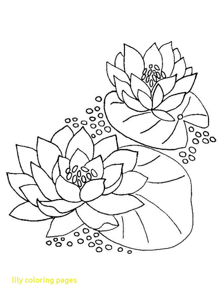 Guaranteed Lily Coloring Pages Water And Pad Page Free Printable 750x1000 Guaranteed Lily Coloring Pages Water And Pad Page Free Printable