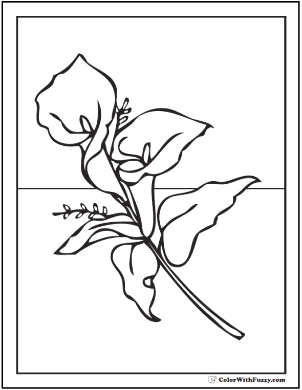 Lily Coloring Pages Customize Pdf Printables 590x762 Lily Coloring Pages Customize Pdf Printables