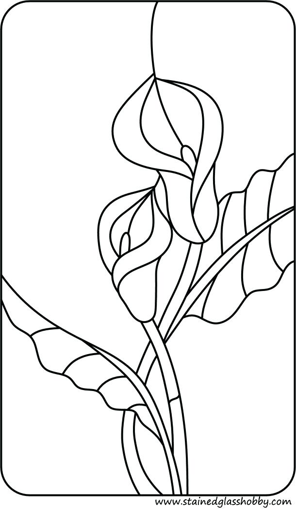 Calla Lily Coloring Pages Stained Glass Coloring Flower Sheets 610x1052 Calla Lily Coloring Pages Stained Glass Coloring Flower Sheets