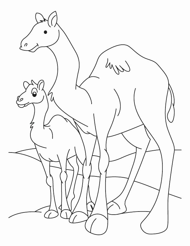 Camel Coloring Page