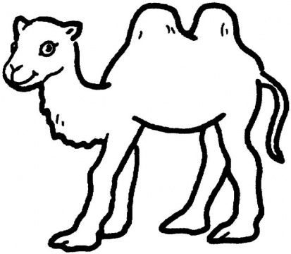 413x360 Camel Coloring Pages 2 Show Ideas Camels