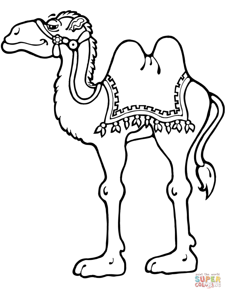 792x1024 Camel Coloring Page 1