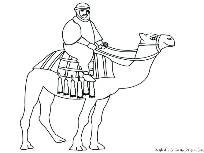 667x500 Camel Coloring Page Camel Coloring Page Christmas Camel Coloring