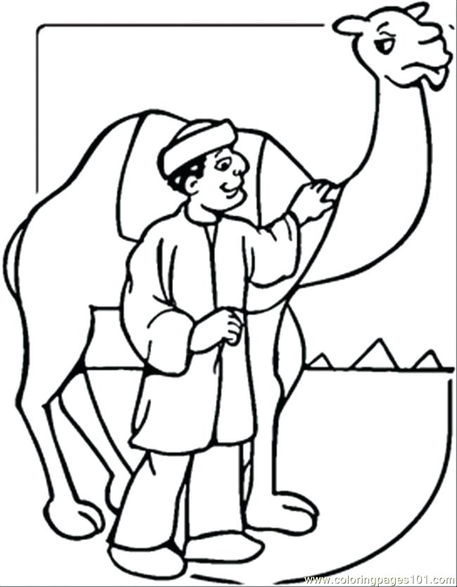 Camel Coloring Pages For Kids at GetColorings.com | Free printable ...