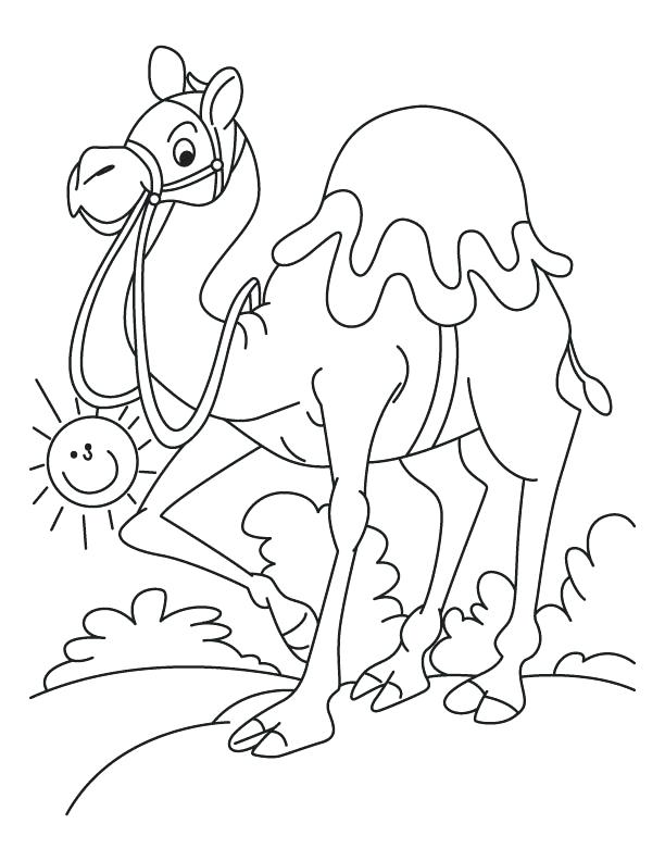 612x792 Camel Head Coloring Page Thirsty Download Print Face Pages