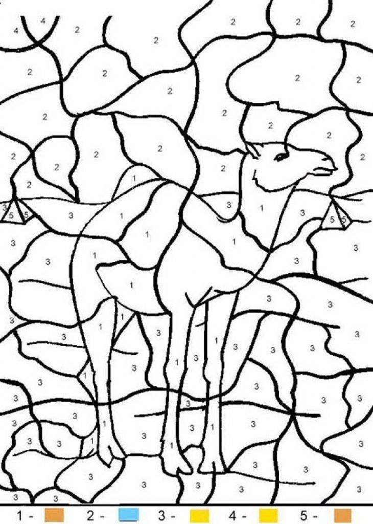 730x1024 A Dessert Camel Animal Color By Number Coloring Page Free To Print