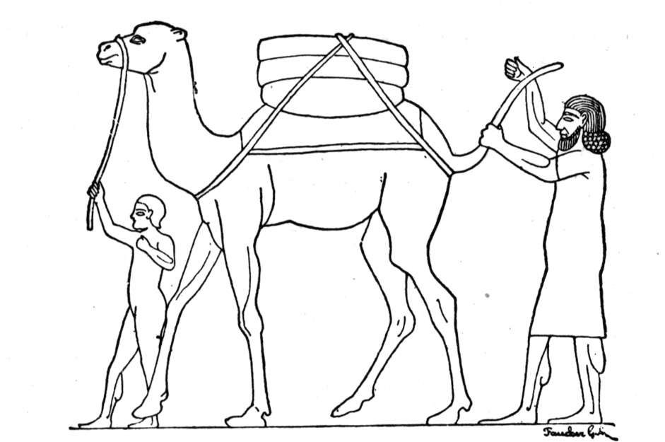 941x625 Free Printable Camel Coloring Pages For Kids