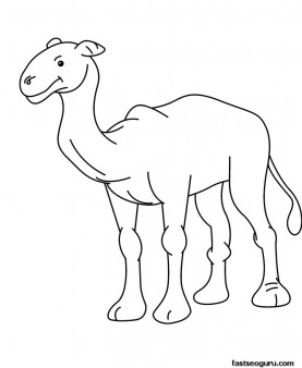 277x338 Printable Animal Baby Camel Coloring Page For Kids