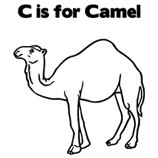 230x230 Top 25free Printable Camel Coloring Pages Online