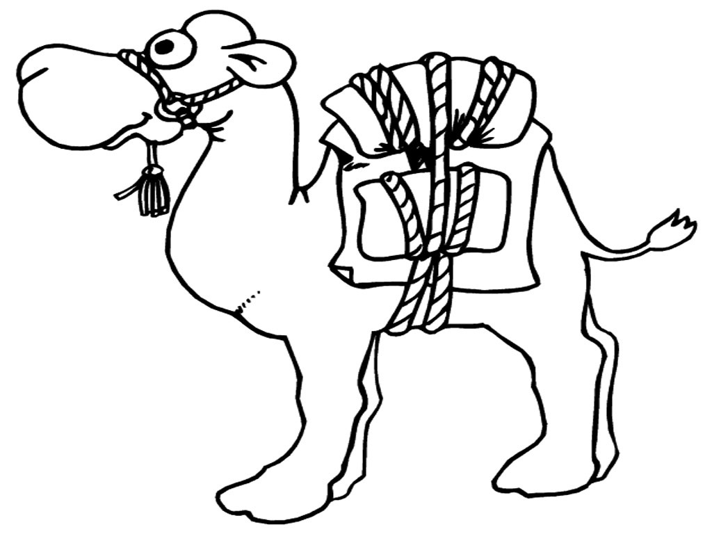 1024x768 Camel Coloring Page With Wallpaper Photo Mayapurjacouture Camel