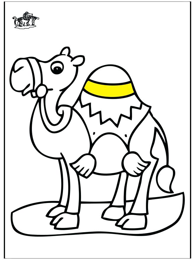 660x880 Camels Coloring Pages