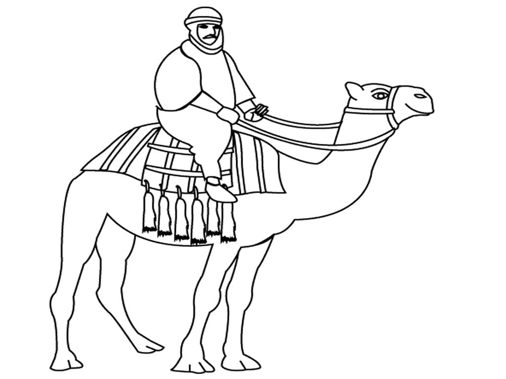 1024x768 Camel Coloring Page Best Of Printable Camel Coloring Pages Logo