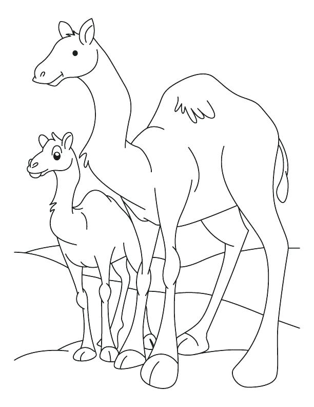 612x792 Camel Coloring Page For Kids Camel Coloring Pages Free Printable