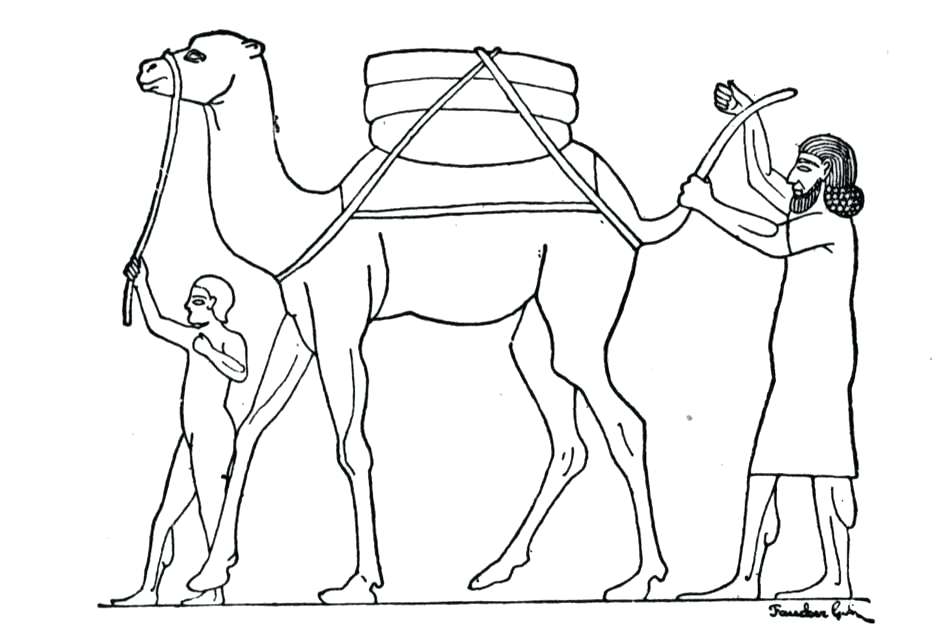 Camel Coloring Pages Free Printable Camel Coloring Pages For Kids 941x625 Camel Coloring Pages Free Printable Camel Coloring Pages For Kids