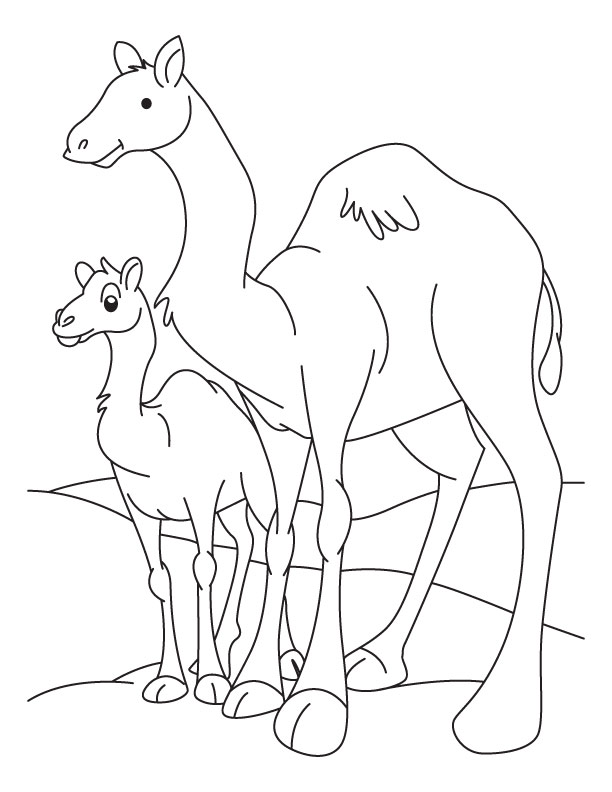 Camel Coloring Pages To Download And Print For Free 612x792 Camel Coloring Pages To Download And Print For Free