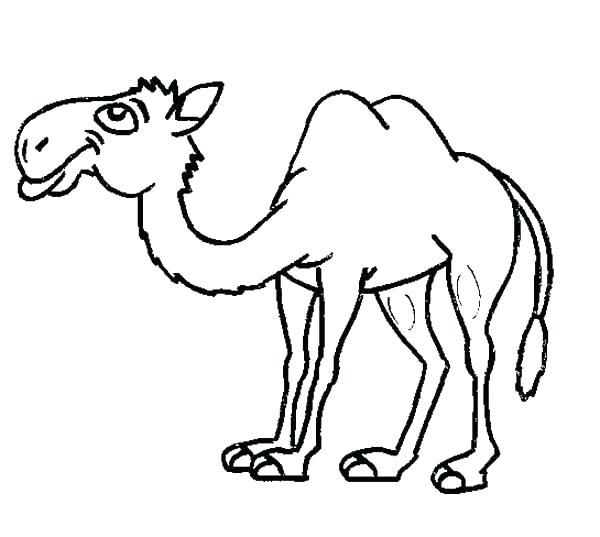 Camels Coloring Pages Cartoon Camel Coloring Pages 600x537 Camels Coloring Pages Cartoon Camel Coloring Pages