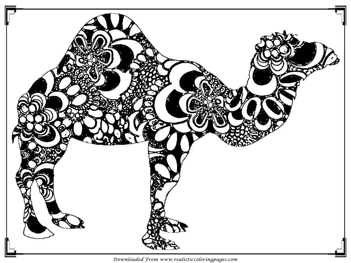 Camels Coloring Pages Free At Camel Page 1152x864 Camels Coloring Pages Free At Camel Page