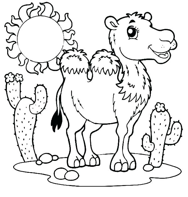 Camels Coloring Pages S S Printble Camel Coloring Sheets Printable 600x627 Camels Coloring Pages S S Printble Camel Coloring Sheets Printable
