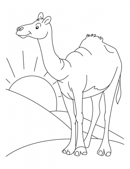 The Lone Arabian Camel Standing In The Sahara Desert Coloring Page 420x543 The Lone Arabian Camel Standing In The Sahara Desert Coloring Page